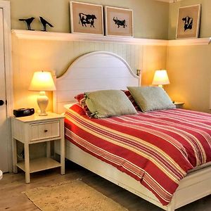 Deluxe Zimmer mit Queensize-Bett